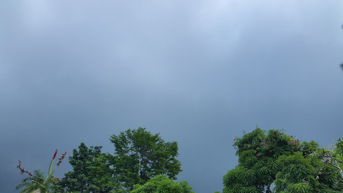 20191014_085710.jpg