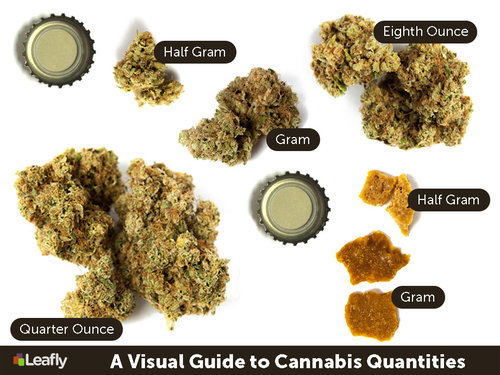 main_leafly-cannabis-quantities.jpg