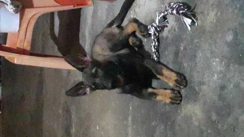 20191230_184711.jpg