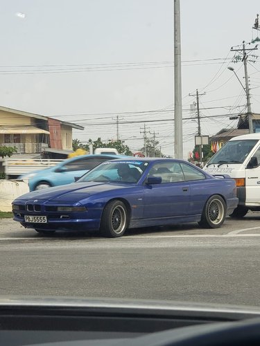 5555.jpg