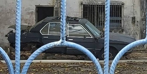 20200310_185307.jpeg