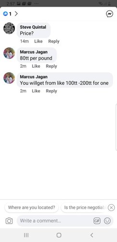 Screenshot_20200330-145714_Facebook.jpeg