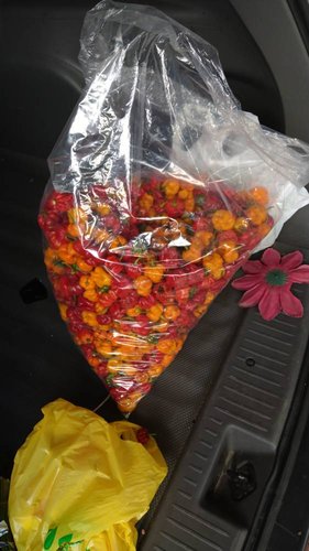 IMG-20200416-WA0004.jpeg