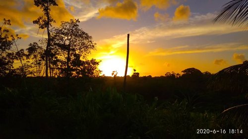 IMG_20200616_181503_HDR.jpeg