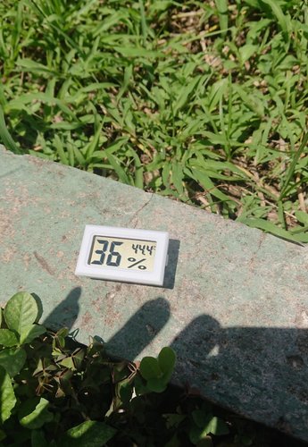 _20200920_130126.JPG