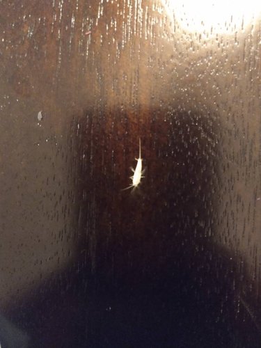 IMG_20201002_203558406.jpeg