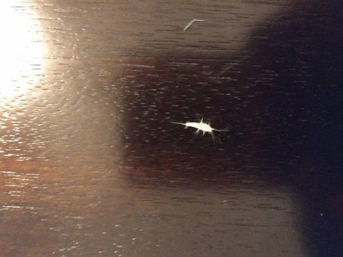 IMG_20201002_203608142.jpeg