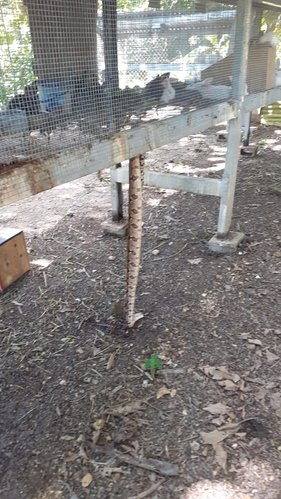 IMG-20201013-WA0126.jpg
