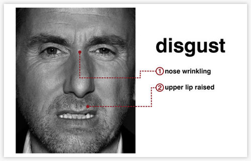 disgust.jpg