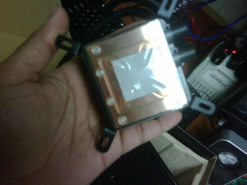 IMG00023-20110905-1536.jpg