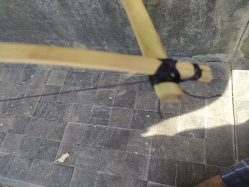 Image%20(7).jpeg