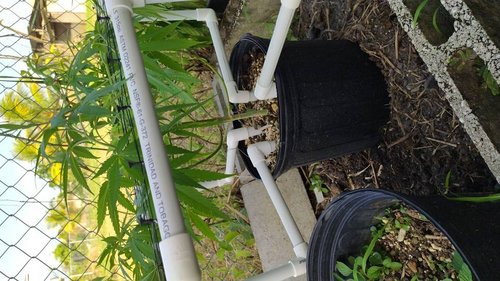 IMG-20210524-WA0012.jpeg
