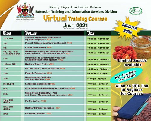 virtual-training-course-ad-June-2021-landscape-no-names-1536x1237.jpeg