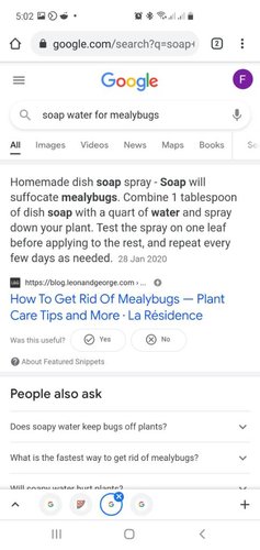 Screenshot_20210530-170216_Chrome.jpeg