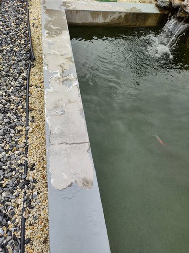 IMG_20210605_111920518_HDR.jpeg