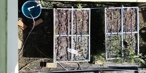 Hydroponic 4.jpg
