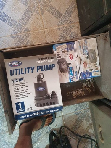 20210626_065516.jpeg