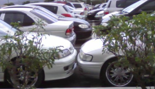 park.JPG