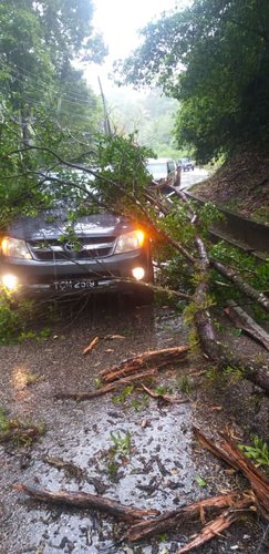 IMG-20210708-WA0088.jpg