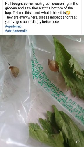 Screenshot_20210827-124555_Facebook.jpg