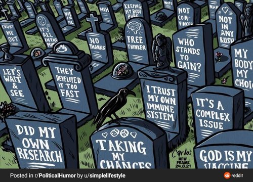 1630234520611.jpg