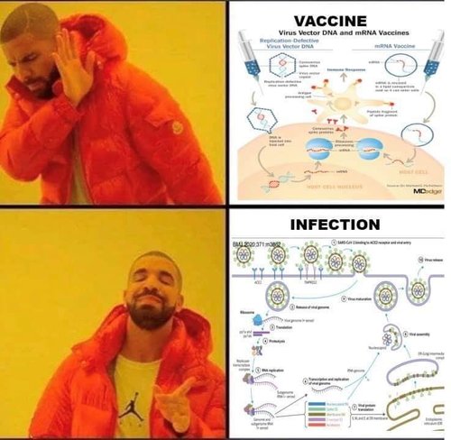 FB_IMG_1630843424728.jpg