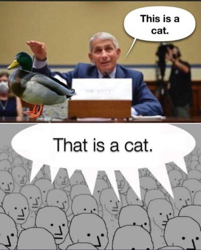 FB_IMG_1631875894344.jpg