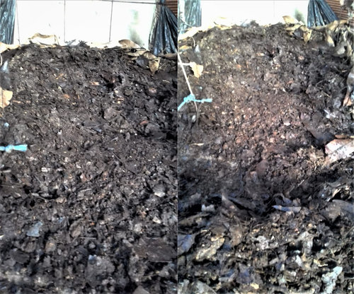 compost.jpg