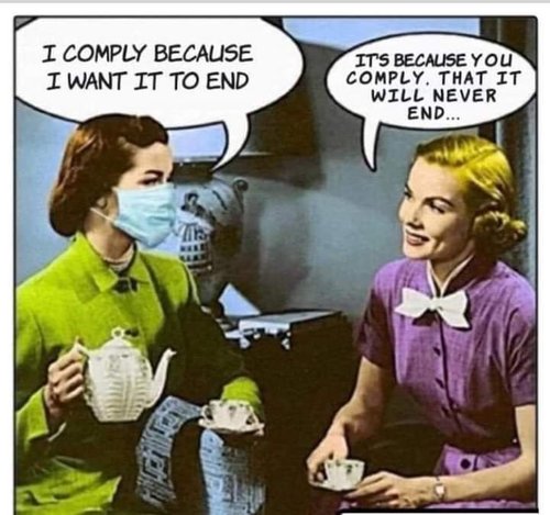 FB_IMG_1638309132207.jpg