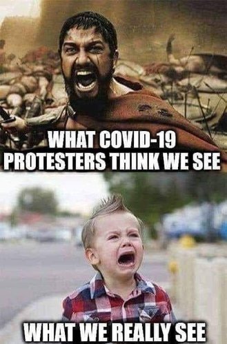 FB_IMG_1639146126872.jpg