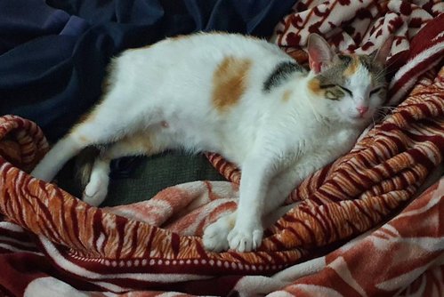 20211110_172058.jpg