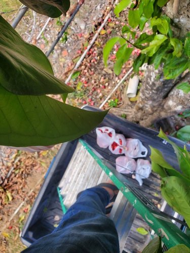 20220125_135150.jpg