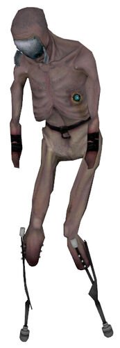 Stalker_hl2.jpeg