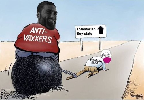 1642308275307.jpeg