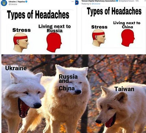 o1b8ly8cqc481.jpg
