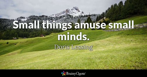Brainy-Quote-Doris-Lessing-002.jpg