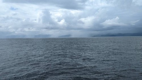 PXL_20220808_135920177.jpg