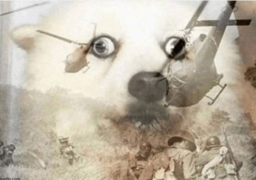 Capture.JPG