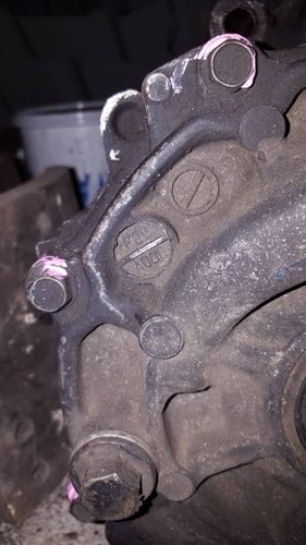 20220328_201203.jpg