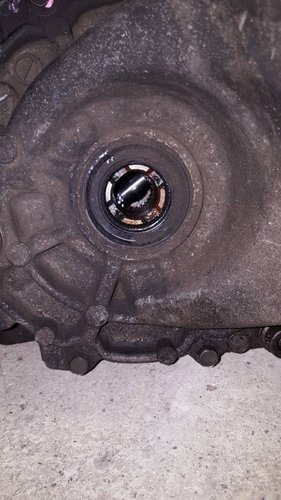 20220328_201212.jpg