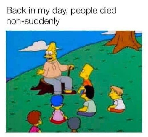 FB_IMG_1672601445572.jpg