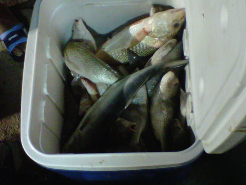 IMG-20110924-00027.jpg