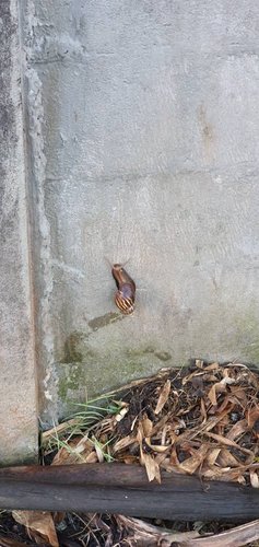 20230213_080330.jpg