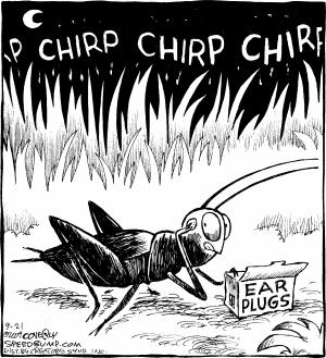 chirp.JPG