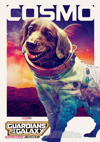 P143 - COSMO.jpg