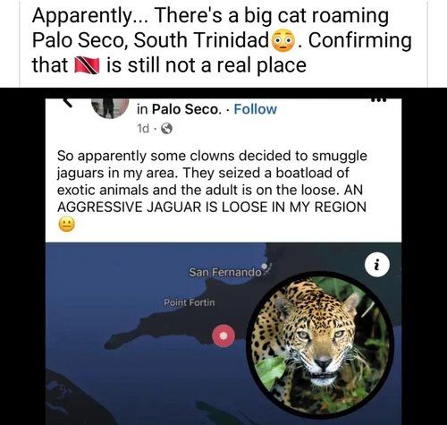 Screenshot_20230605-112518_Lite.jpg