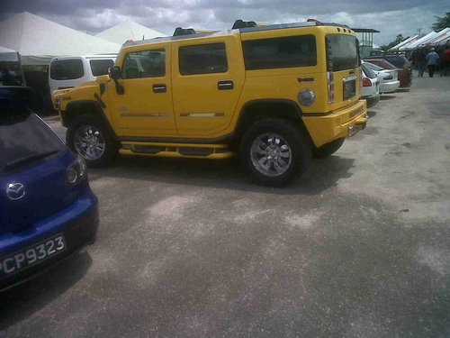 IMG01061-20110925-1106.jpg