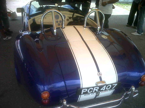 IMG01063-20110925-1110.jpg