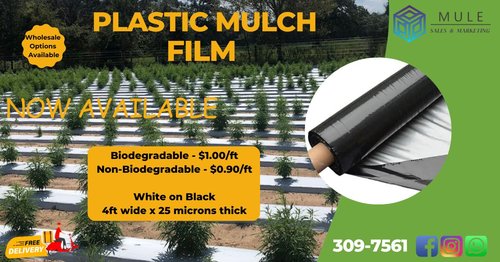 plastic mulch ad with old number.jpg