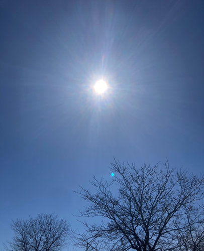 IMG_3479.jpeg